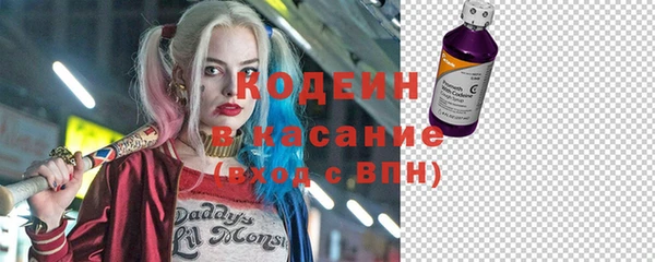 трава Коряжма